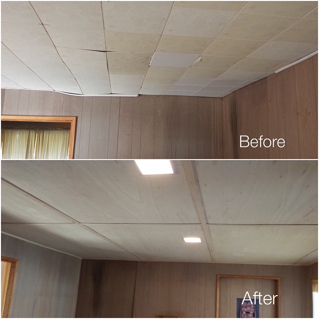 Acoustic tile ceiling before to birch panels after.