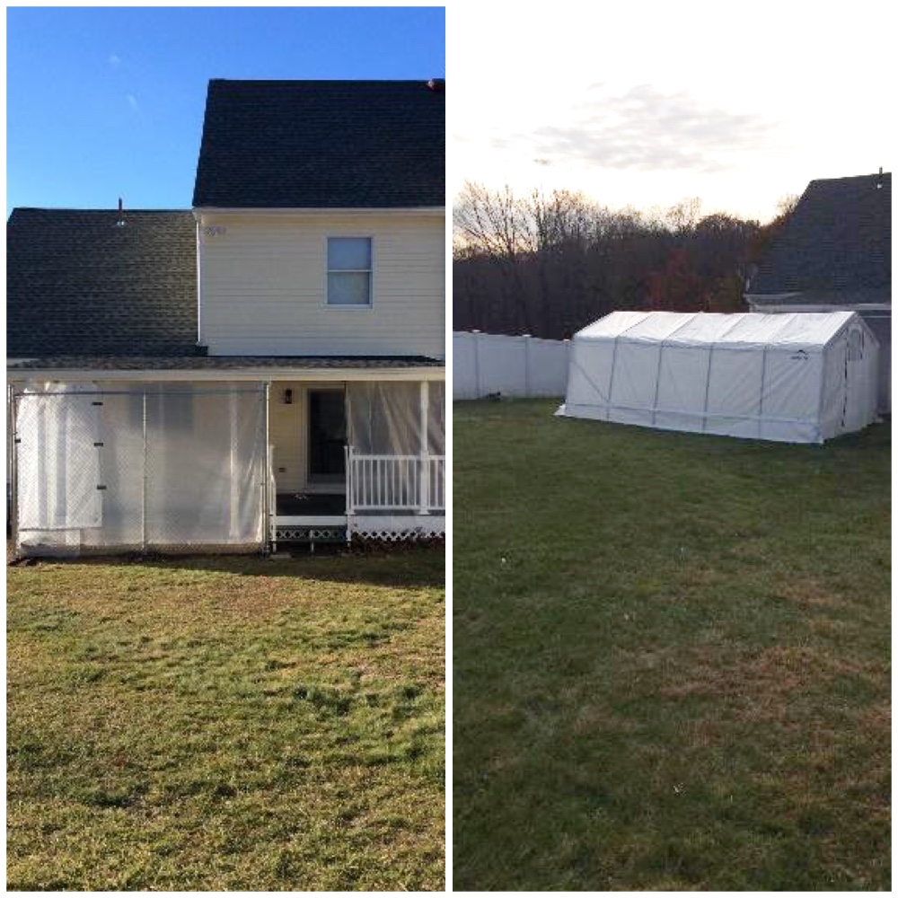 Assembled a greenhouse in Newtown