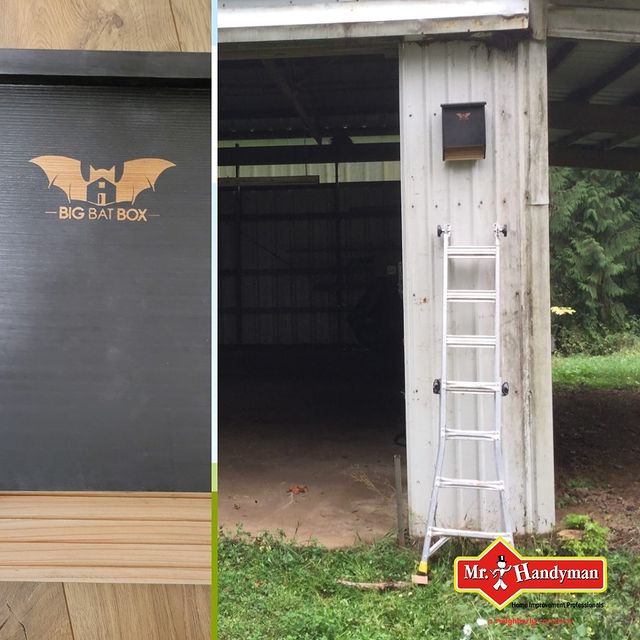 Let's talk about our spooky friends: bats. ?? While often considered scary pests, bats actually contribute to a balanced ecosystem by pollinating plants and feeding on pesky insects. Installing a bat house, like we did for this Battle Ground customer, can discourage them from nesting in your home. Happy Halloween!