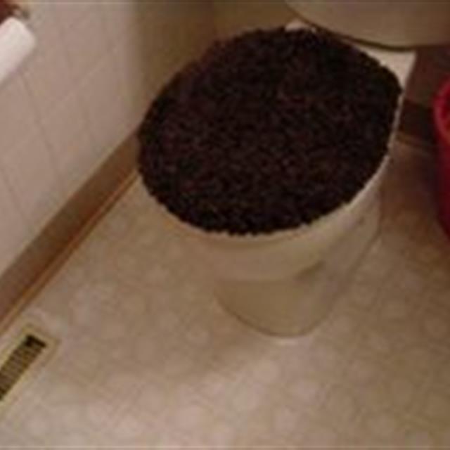 Picture of a home bathroom home repair