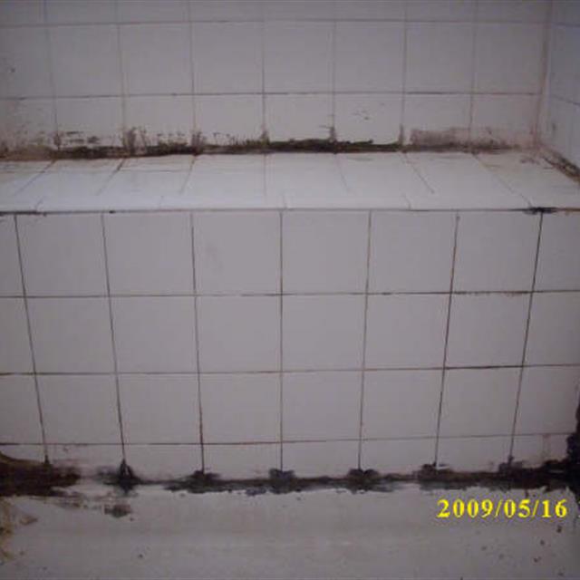Picture of home bathroom tiles before update