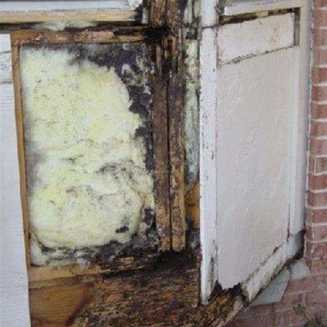 Close up picture of box bay structural damage