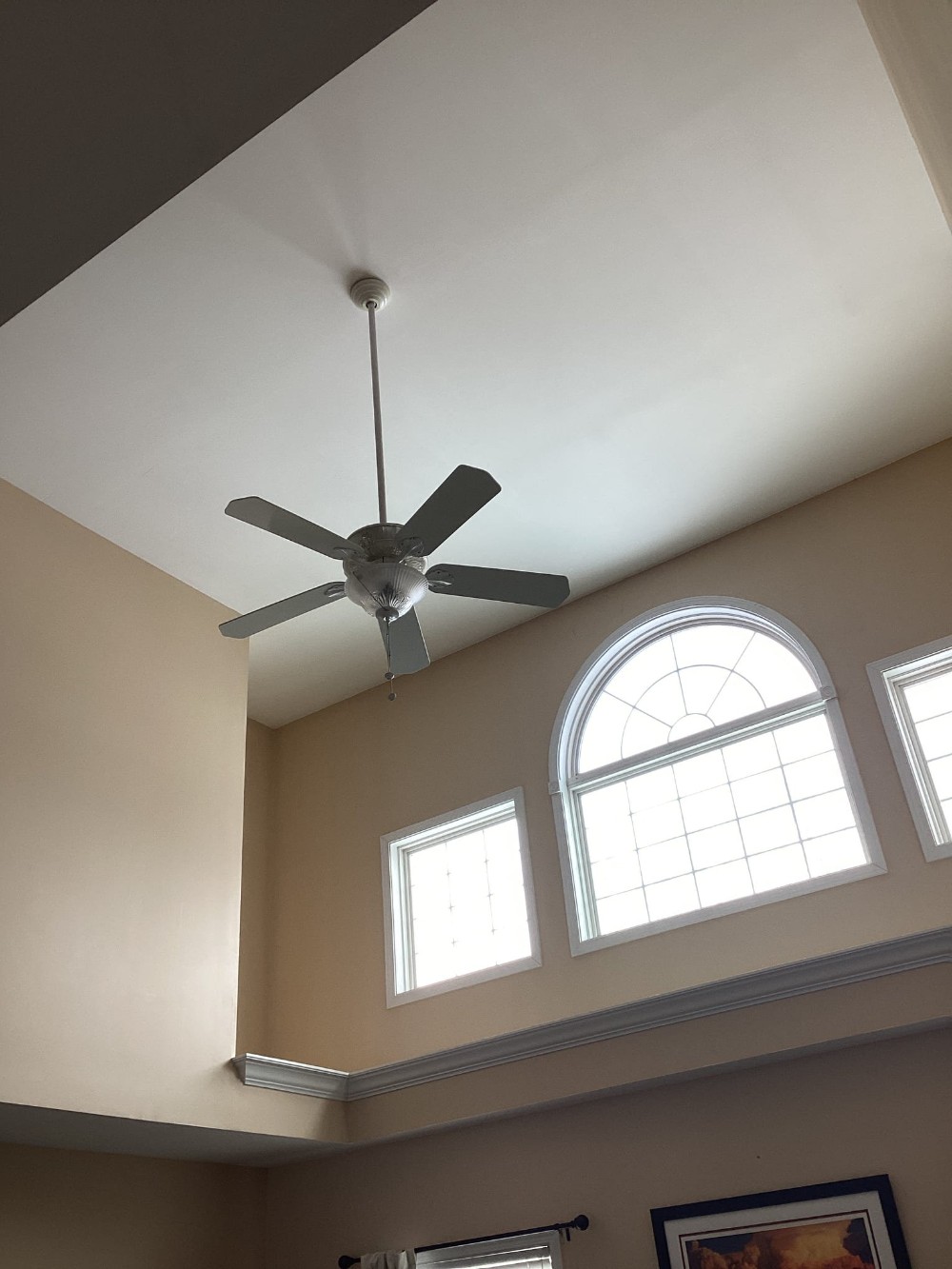 Ceiling Fan Upgrade