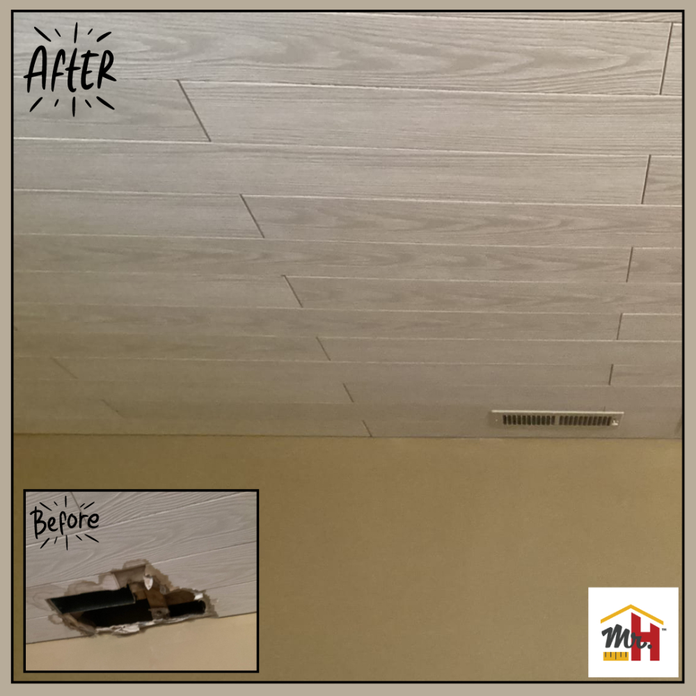 Ceiling Repair