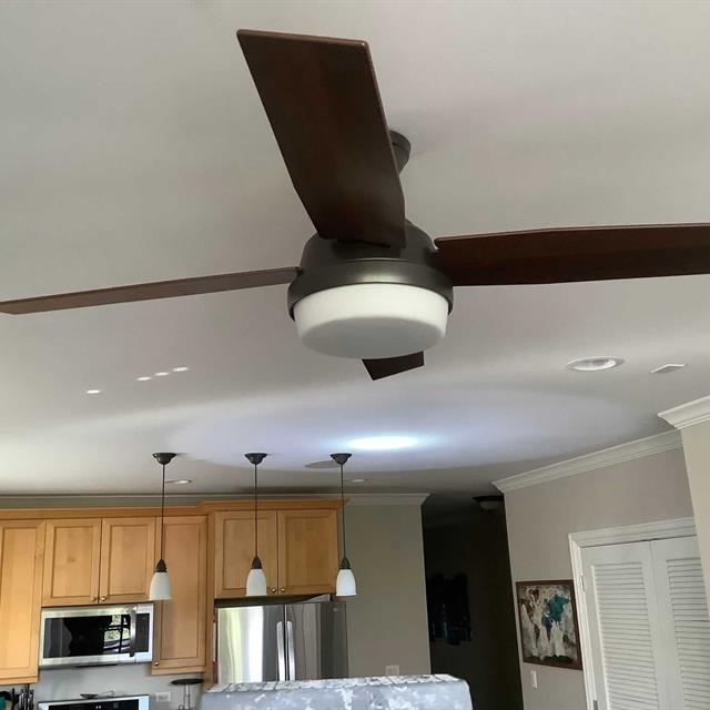 Ceiling fan