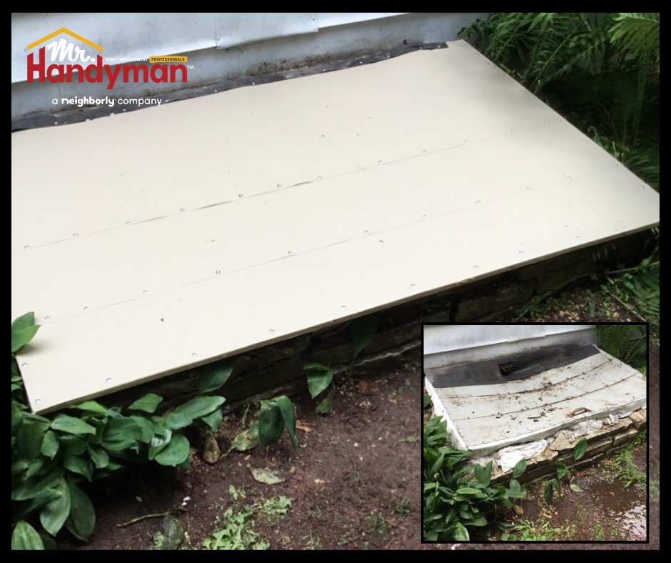 Cellar Door Repair