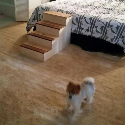 Doggy steps custom built