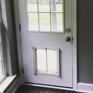 Doggy door installation