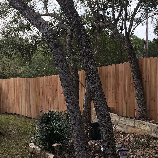 Outdoor wooden fence with tree in the middle.