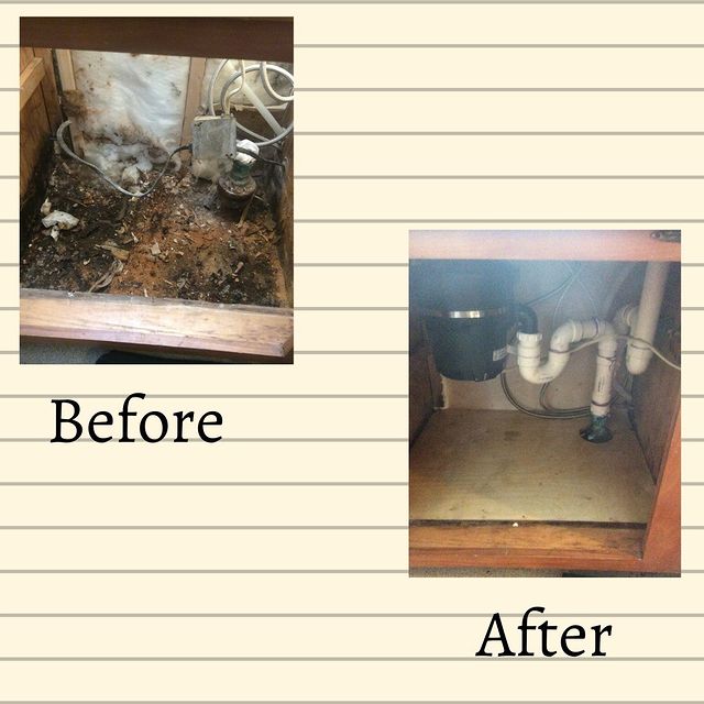 before and after the garbage disposal replacement