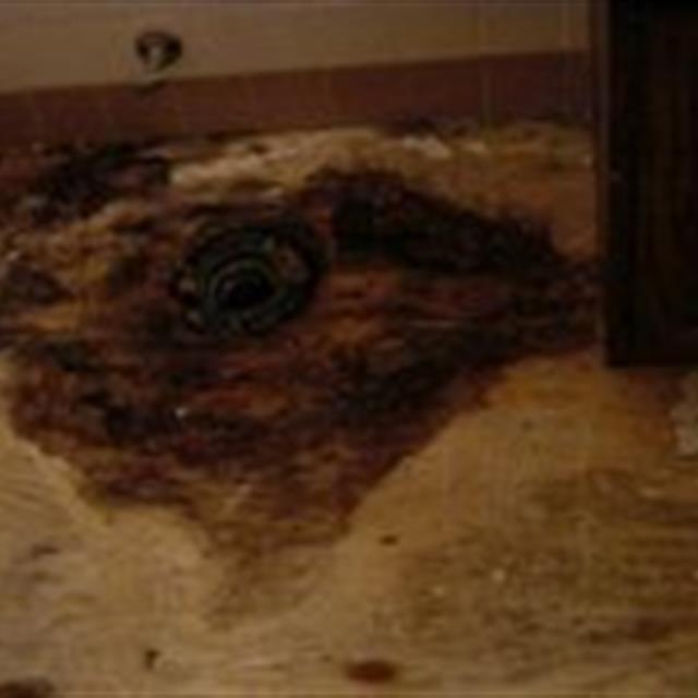 Picture of a water damaged floor at a home