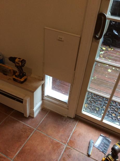 Install doggie door in Westport