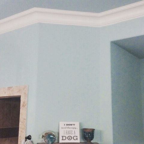 Mr Handyman installed crown molding to add pop to this room in