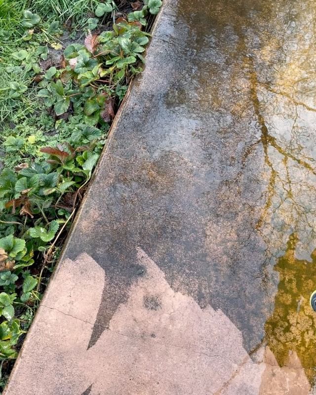 Some cement half power washed