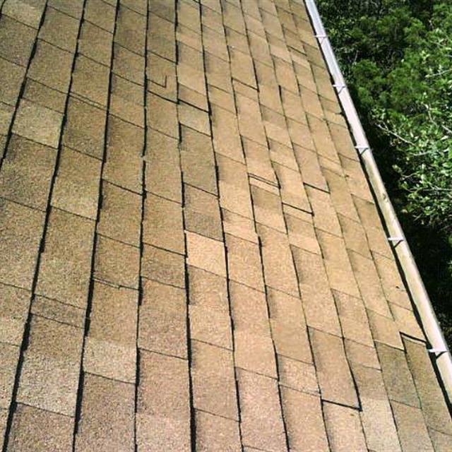 Roof shingles