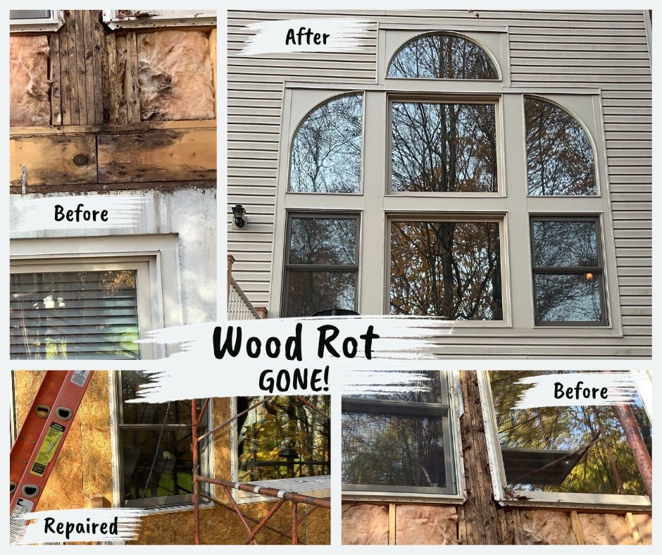 Water damage & wood rot repair