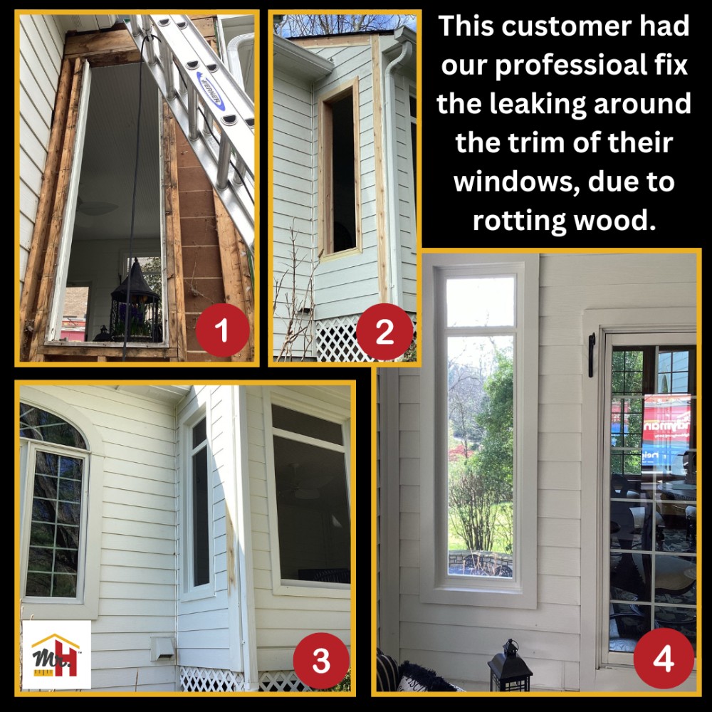 Window and Wood Rot Repair