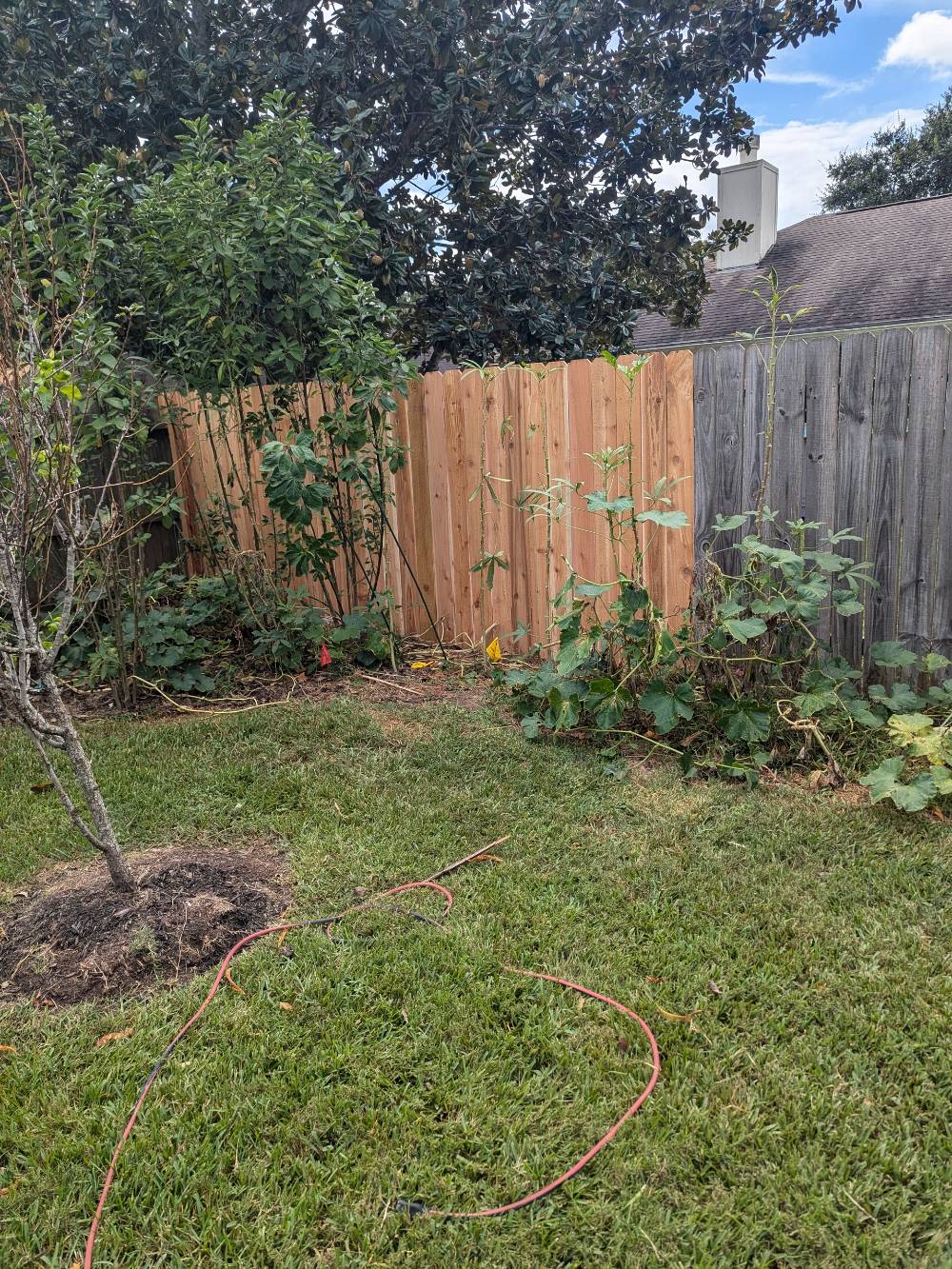 Wood Fence Repair