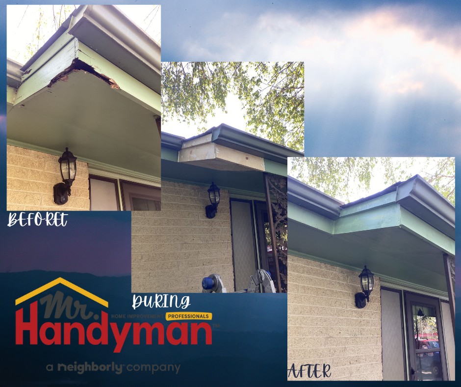 fascia and soffit repair