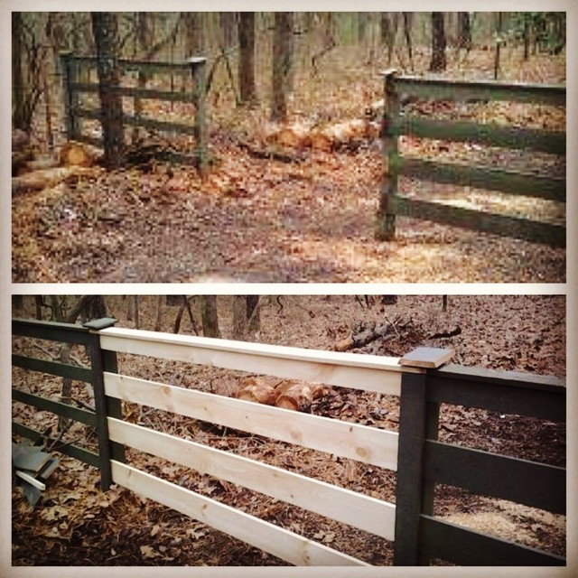 fence repair- before and after