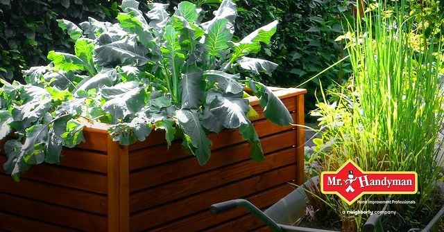strain with raised beds!