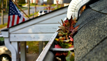 Gutter cleaning.