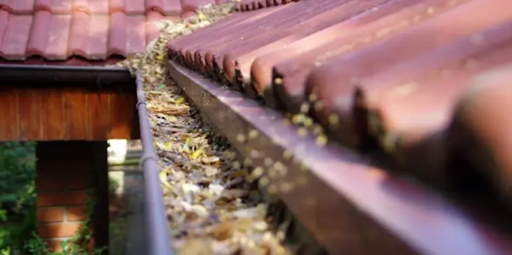 Gutters along a residential roofline that are filled with soggy leaves and other debris that would normally be removed with routine gutter cleaning.