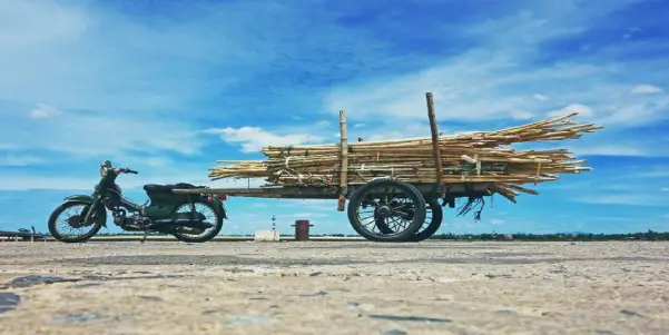 Motor bike carrying a load of woods