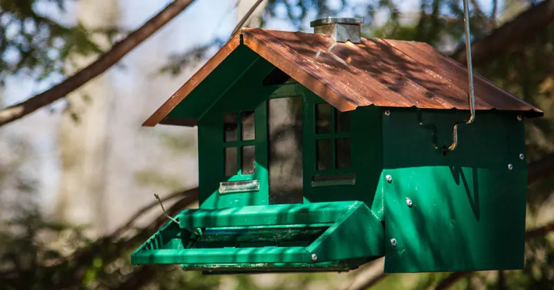 Green birdfeeder