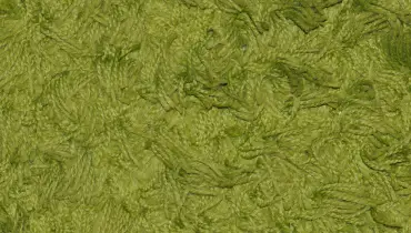 A close-up of a green carpet.