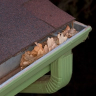 gutter filled with leaves.