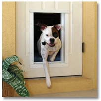 Pet Door.