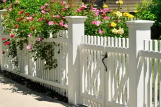 Picket fence covered in flowers.