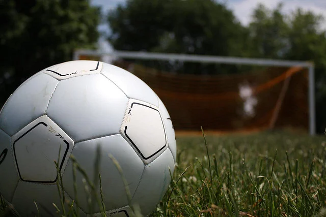 White soccer ball in a field.