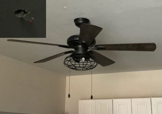 ceiling fan