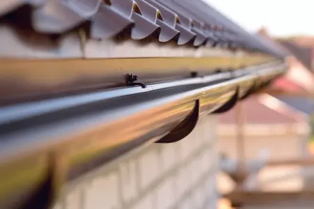 rain gutter on house